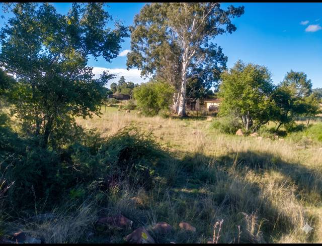 11,879M² VACANT LAND FOR SALE IN KOPPIES RURAL
